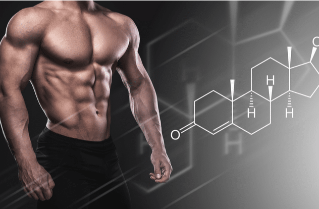 Muscular male body and testosterone